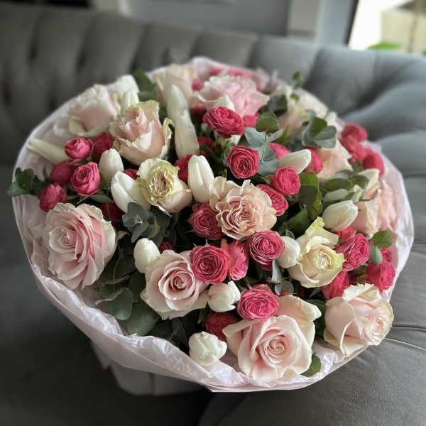 № 202 - THE PHOTO SHOWS THE PREMIUM SIZE.