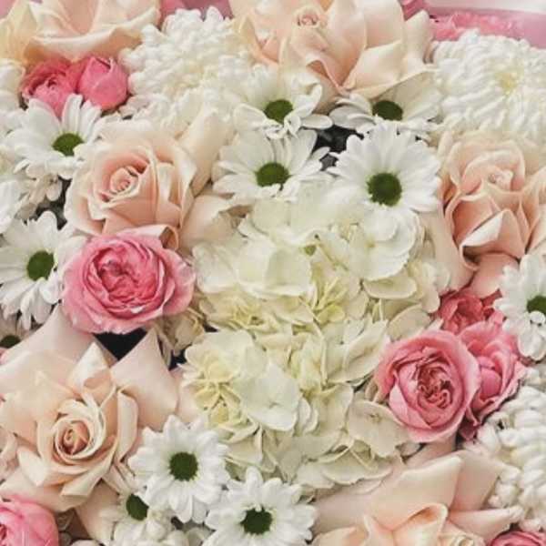 Pink and cream roses with white daisies and hydrangeas in a dense bouquet.