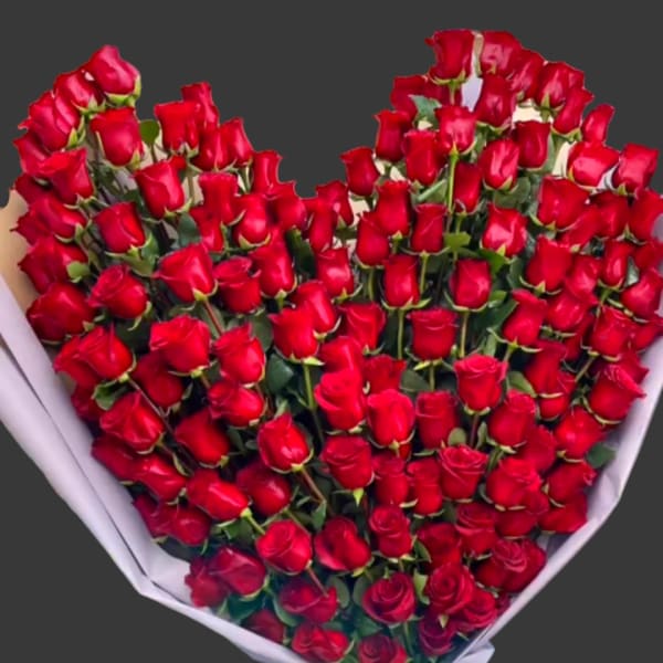 Large bouquet of red roses wrapped in white paper with a red ribbon
