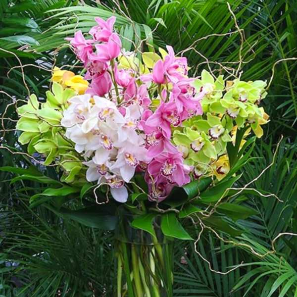 Bouquet of pink, white, and green orchids in a glass vase