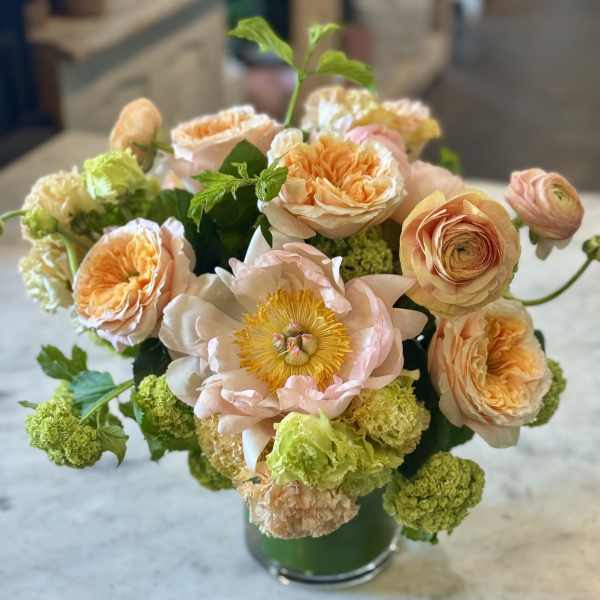 Urban Gardener Peaches