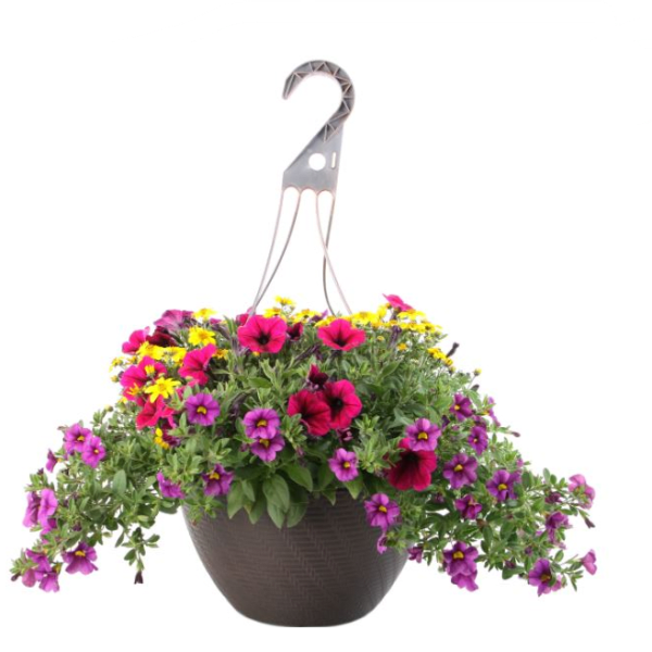 Combo Hanging Basket