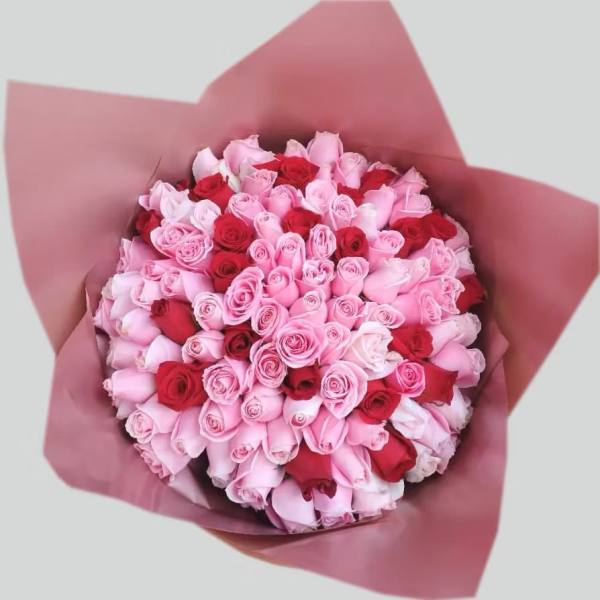 Bouquet of pink and red roses wrapped in pink paper