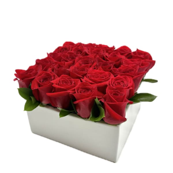 Red roses arranged in a white square box