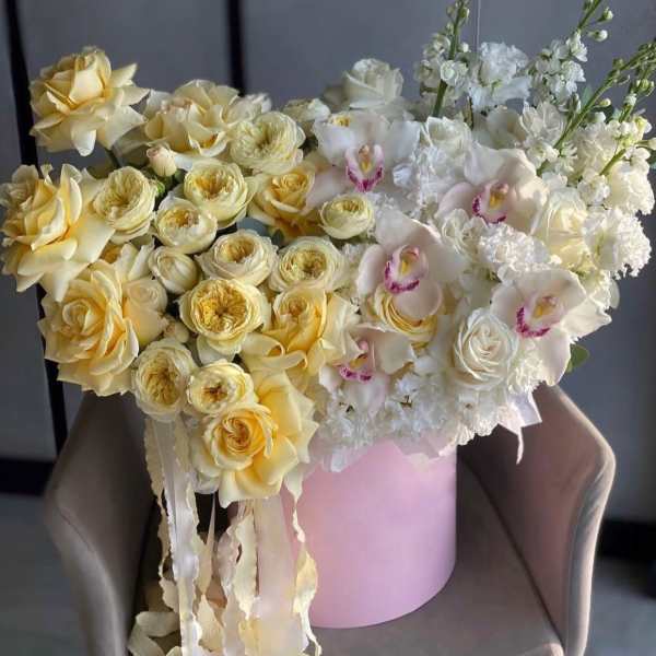 № 15 - The Photo Shows The Premium Size.