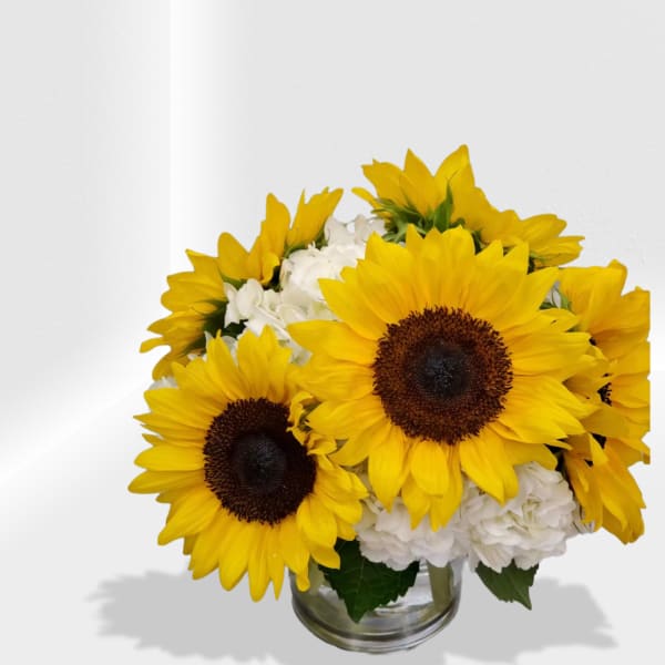 Low arrangement of yellow sunflowers and white hydrangeas in a clear glass vase