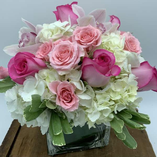 ABUNDANTLY BEAUTIFUL $120/150/180