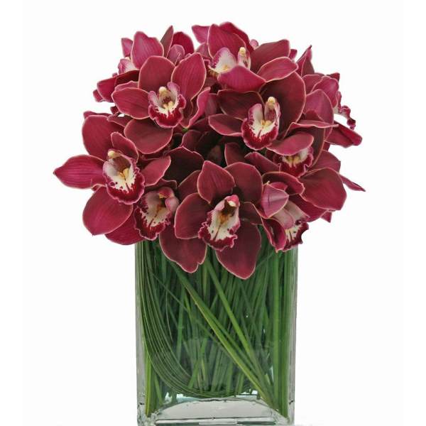 Bouquet of deep red orchids in a clear glass vase