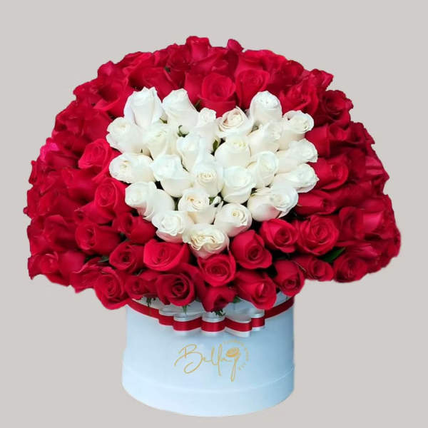 Red and white roses arranged in a round hatbox