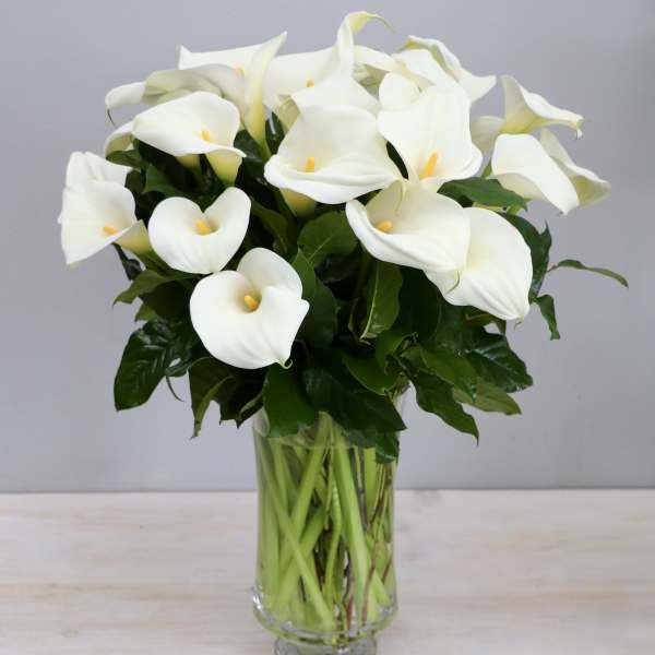 Tall arrangement of white calla lilies in a clear glass vase