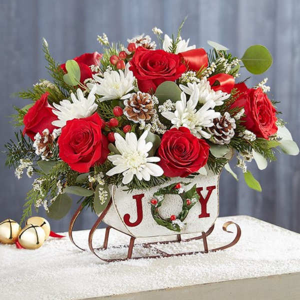 Dashing through the snow