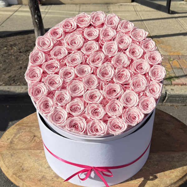 50 Preserved Roses! Pink