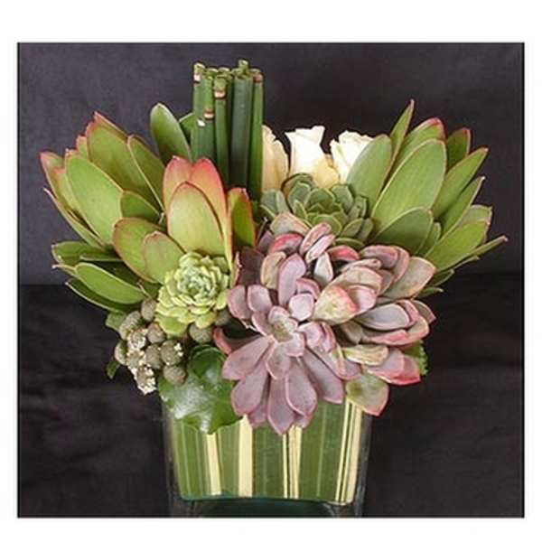 Succulent arrangement in a striped glass vase