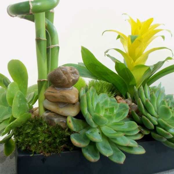 Succulent arrangement with bamboo stalks and a yellow bromeliad in a rectangular planter