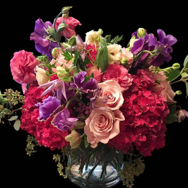 SWEET PEA # odoratus