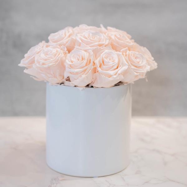 Blush Roses in White cylinder