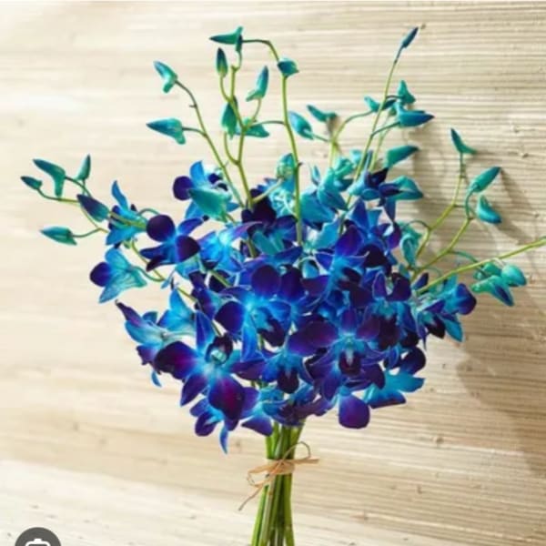 Blue Orchids in Vase
