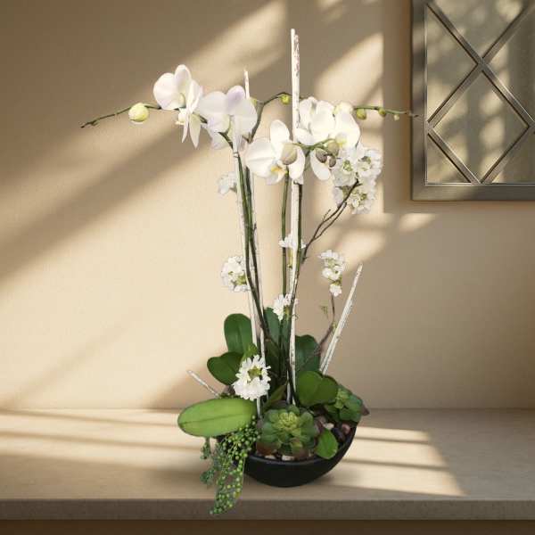 White orchids and succulents arranged in a black bowl.
