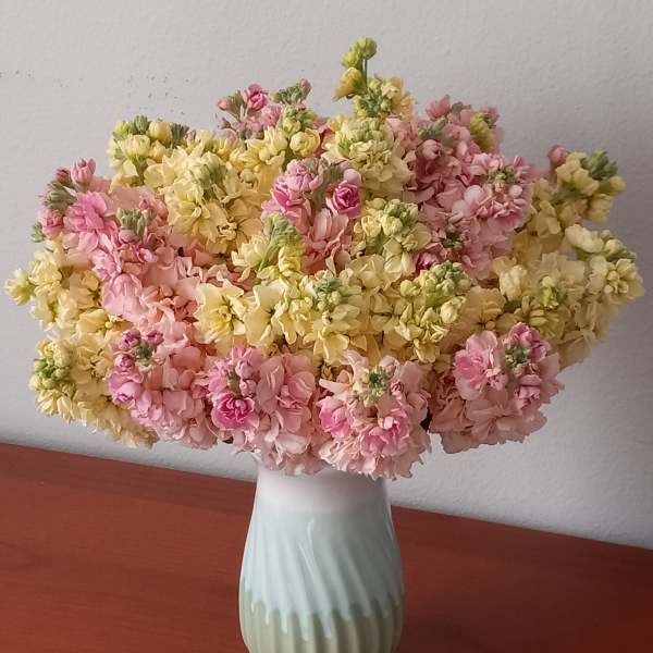 Bouquet of pink and yellow flowers in a white vase