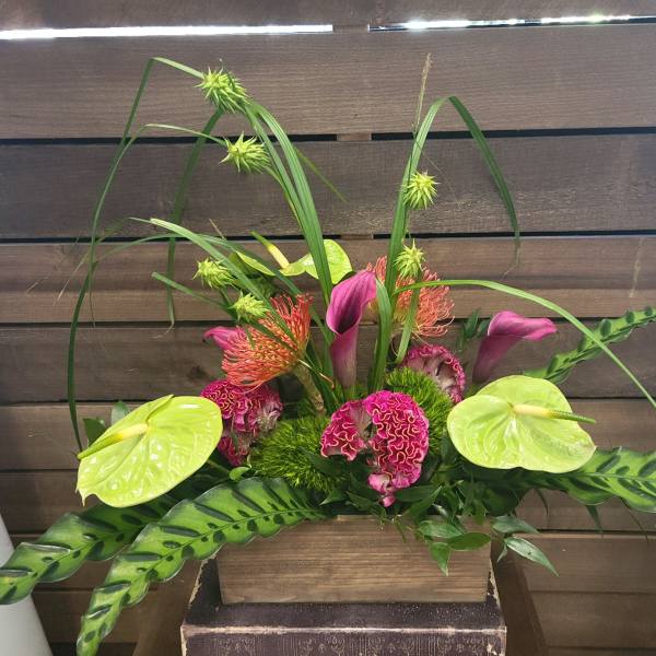 Tropical floral arrangement with pink calla lilies and lime anthuriums in a wooden container