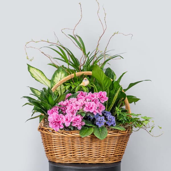 Wicker basket planter with pink flowers and assorted green plants