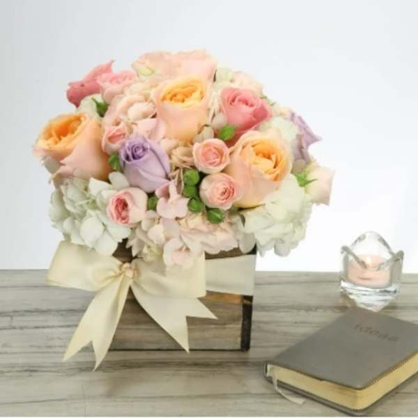 OMG! - David Z Designs