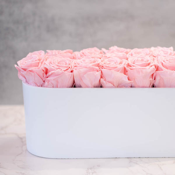 Pink Roses in Oval White Container