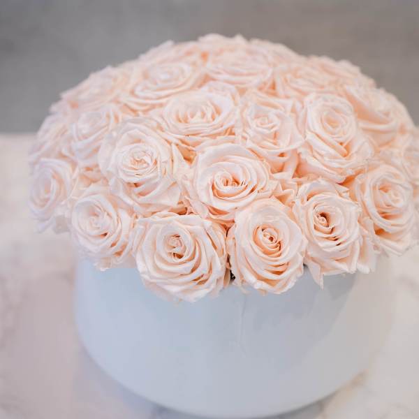 Blush Roses in round white container