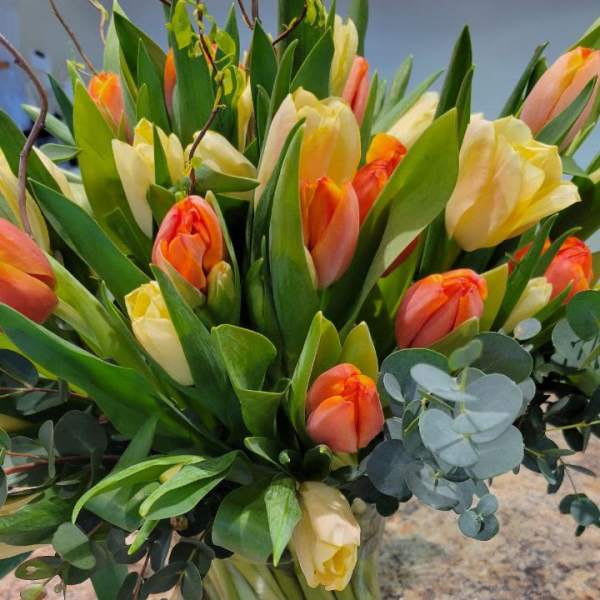 Bouquet of orange and pale yellow tulips in a glass vase