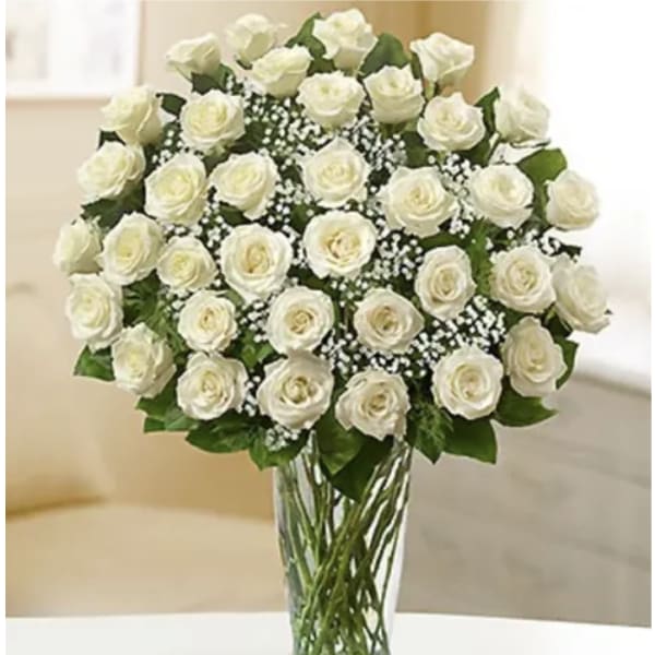 Three Dozen White Roses