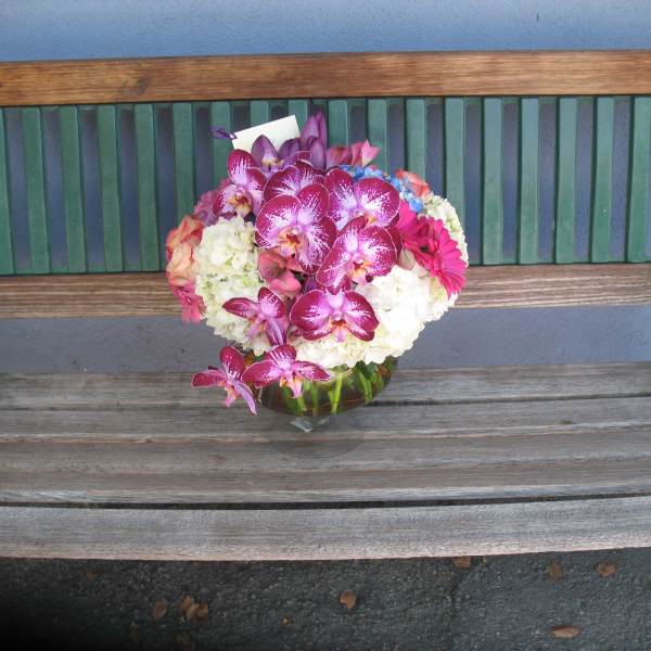 Orchids Hydrangeas #20