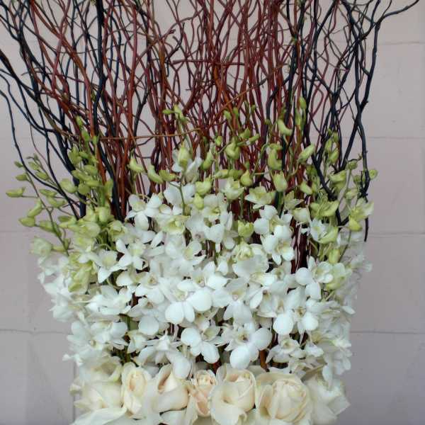White orchids and cream roses in a black vase