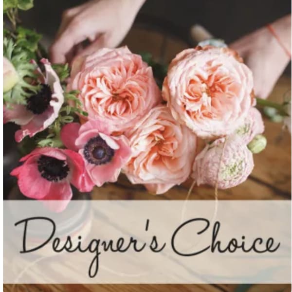 LARGE Designer's Choice