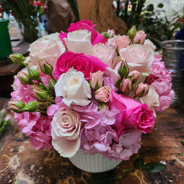 Pink and white roses arranged in a white vase