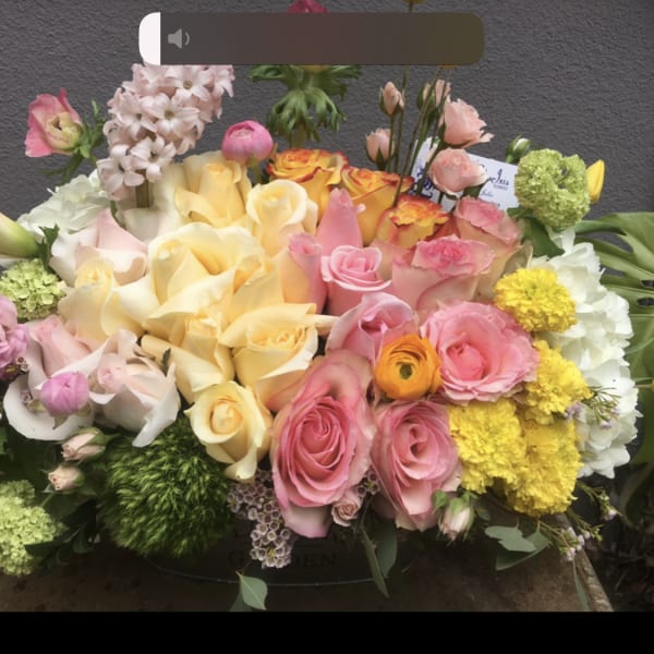 Roses tulips Hydrengea spring flowers