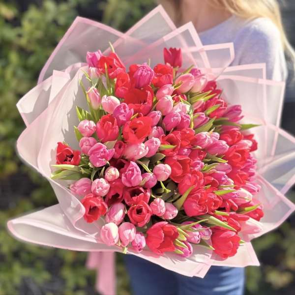 Bouquet of pink and red tulips wrapped in pale pink paper