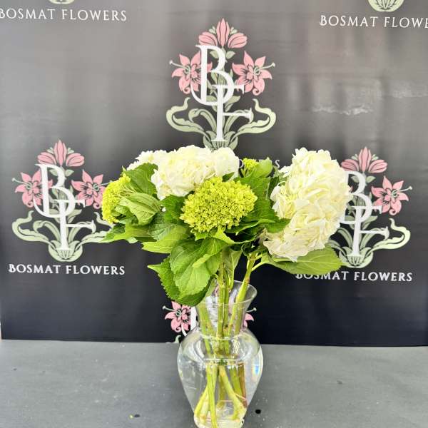 White hydrangeas and green blooms in a clear glass vase