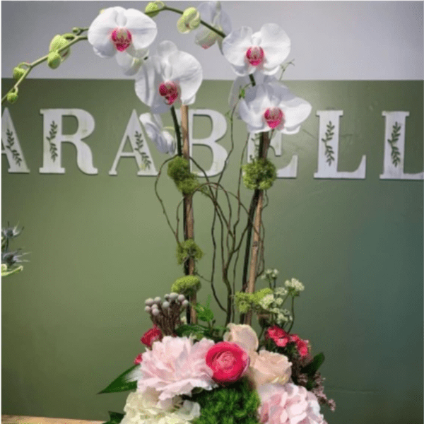 WOODEN BOX ORCHID PLANT WITH CUT FRESH FLOWERS