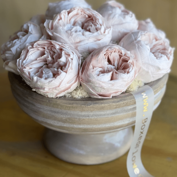 Pale pink roses arranged in a low round box