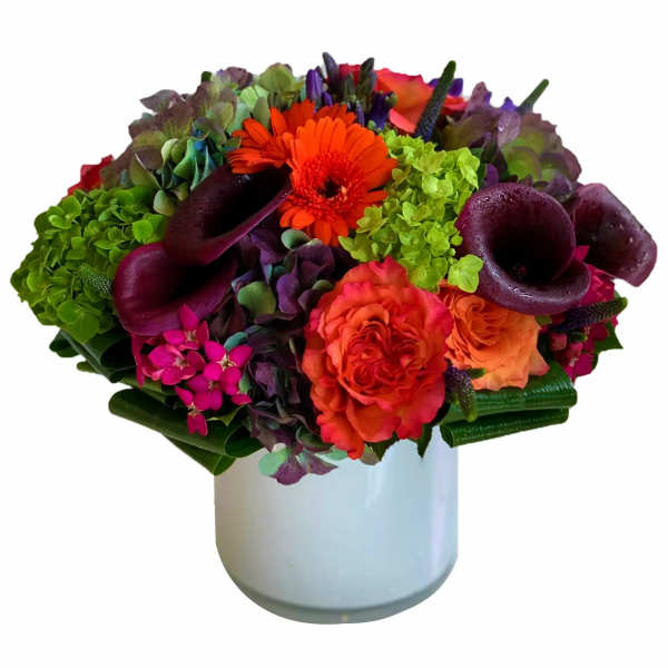Colorful bouquet with orange gerberas, roses, and dark calla lilies in a white vase
