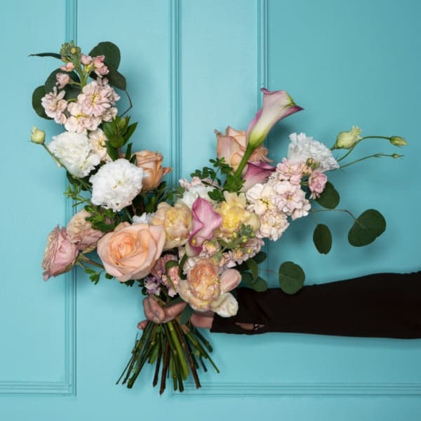 The Cheer Coach Tracy