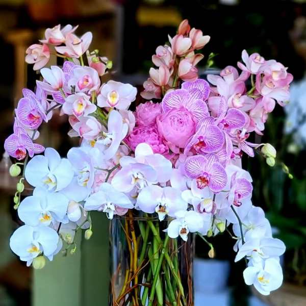 Pink and white orchids arranged in a clear glass vase