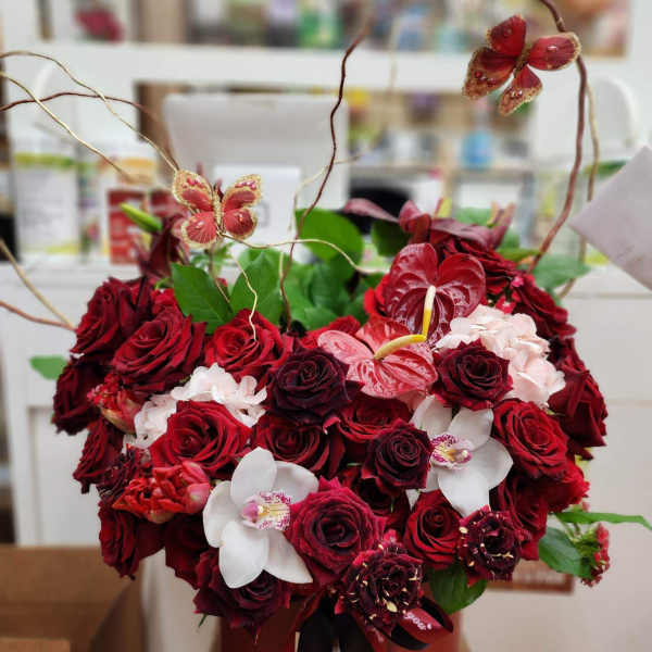 Red roses and white orchids arranged in a round box with butterfly picks