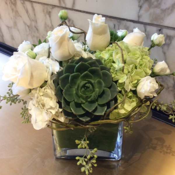 White roses and green hydrangeas arranged around a dark green succulent in a glass vase