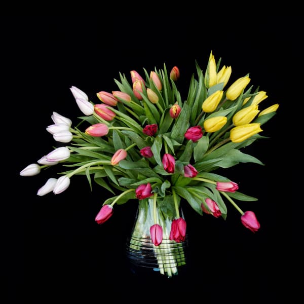 Bouquet of multicolored tulips in a clear glass vase