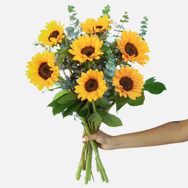 Handheld bouquet of yellow sunflowers with eucalyptus greenery