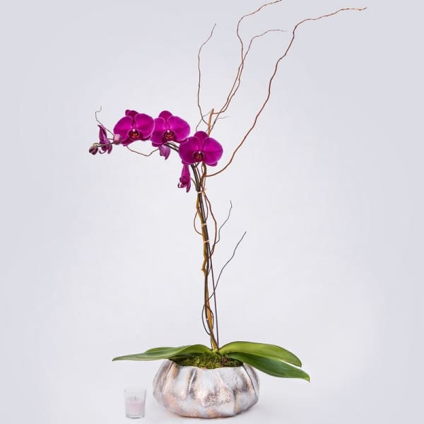 Purple orchid arrangement in a metallic planter with decorative branches