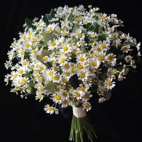 Large bouquet of white daisies with yellow centers