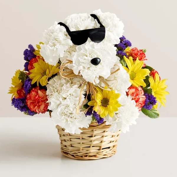 Flower basket arranged as a white dog with sunglasses
