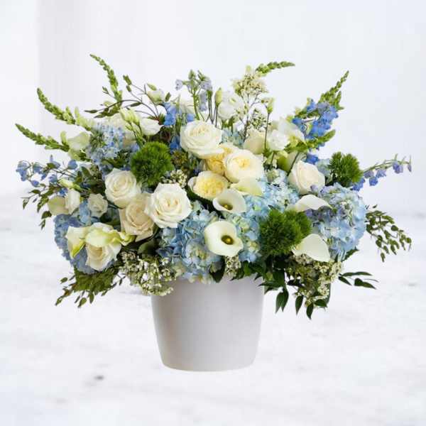 Blue Skies & Sunshine